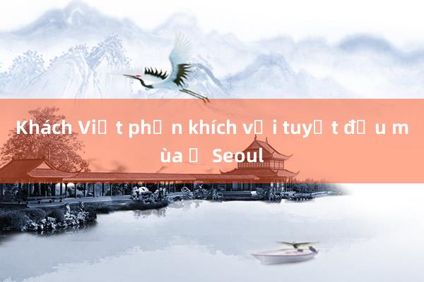 Khách Việt phấn khích với tuyết đầu mùa ở Seoul