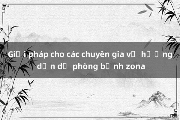 Giải pháp cho các chuyên gia về hướng dẫn dự phòng bệnh zona