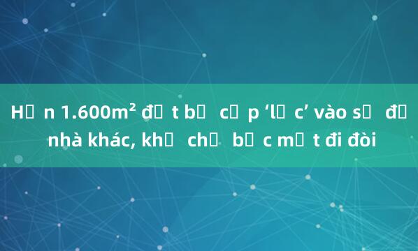 Hơn 1.600m² đất bị cấp ‘lạc’ vào sổ đỏ nhà khác， khổ chủ bạc mặt đi đòi